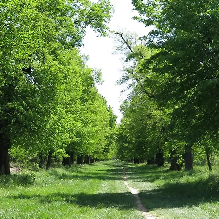 Apartamento Am Waldbad *